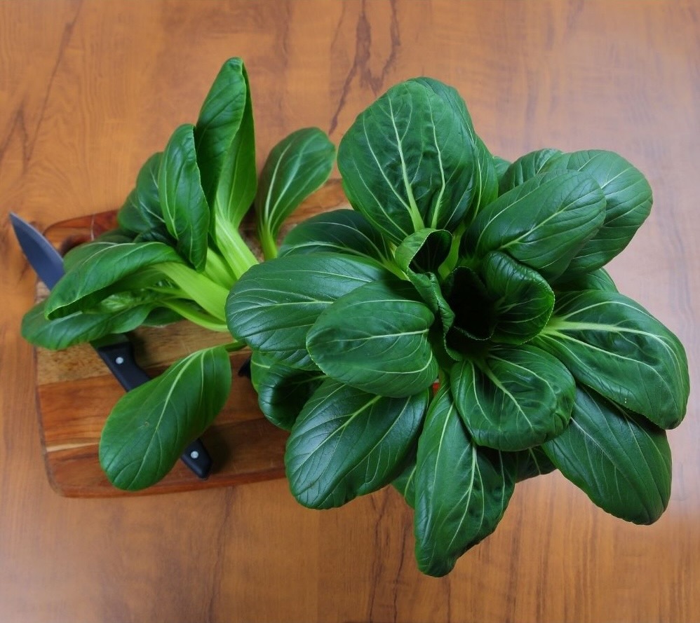 Bok Choy leafy greens