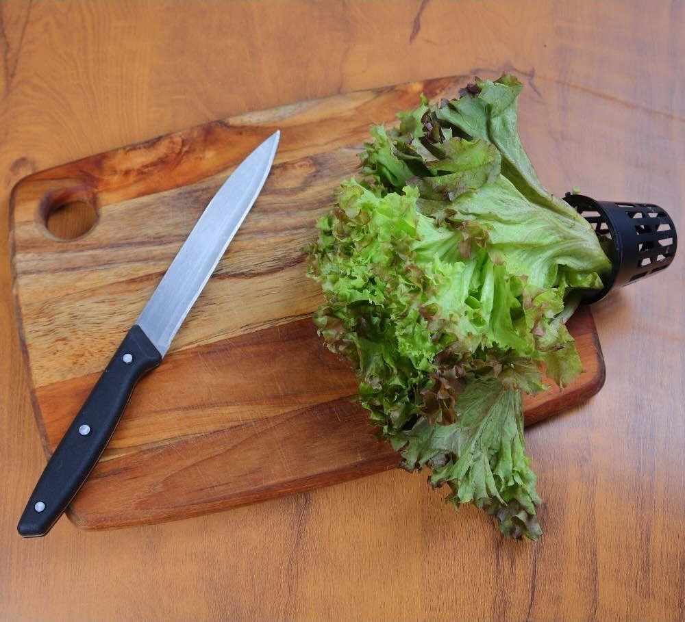 Lollo Rosso leafy greens