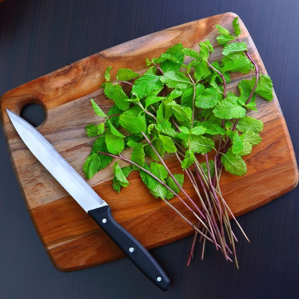 Mint fresh herbs