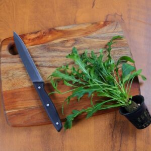 Arugula
