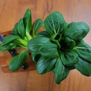 Pakchoi